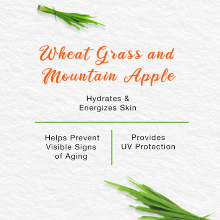 Energising Day Cream 50ml