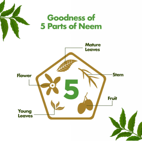 Himalaya Purifying Neem Serum 30ml